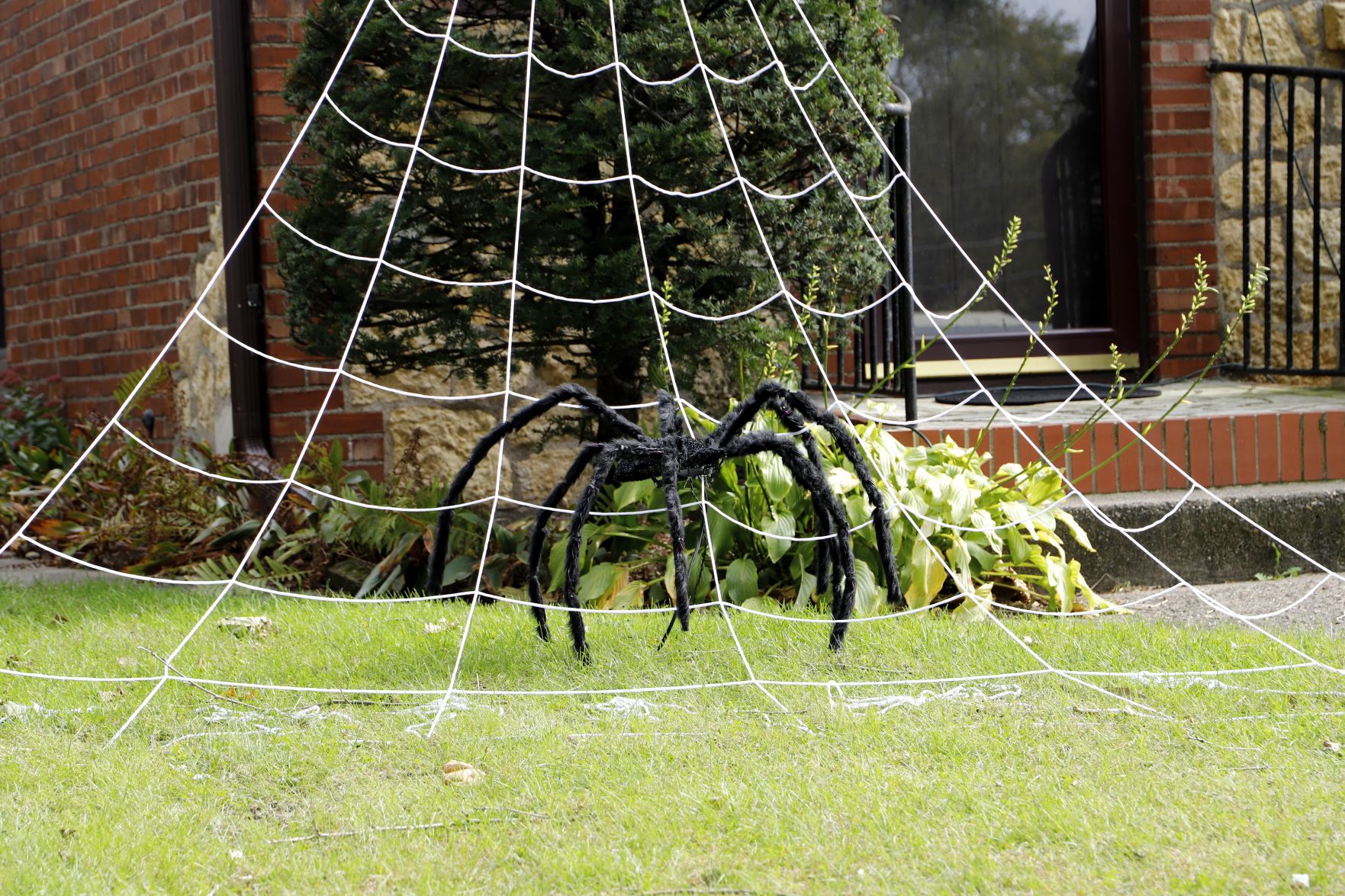 Spider decoration